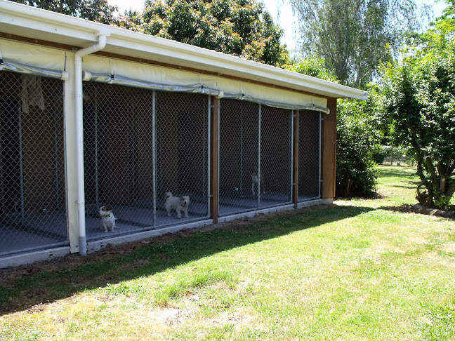 Reviews of Pawprints Kennels & Cattery in Te Puke - Dog trainer
