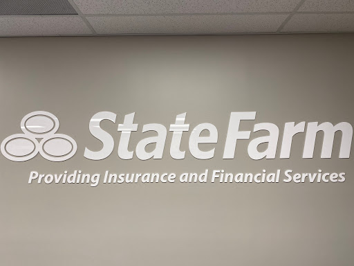 Auto Insurance Agency «Chris Collins - State Farm Insurance Agent», reviews and photos