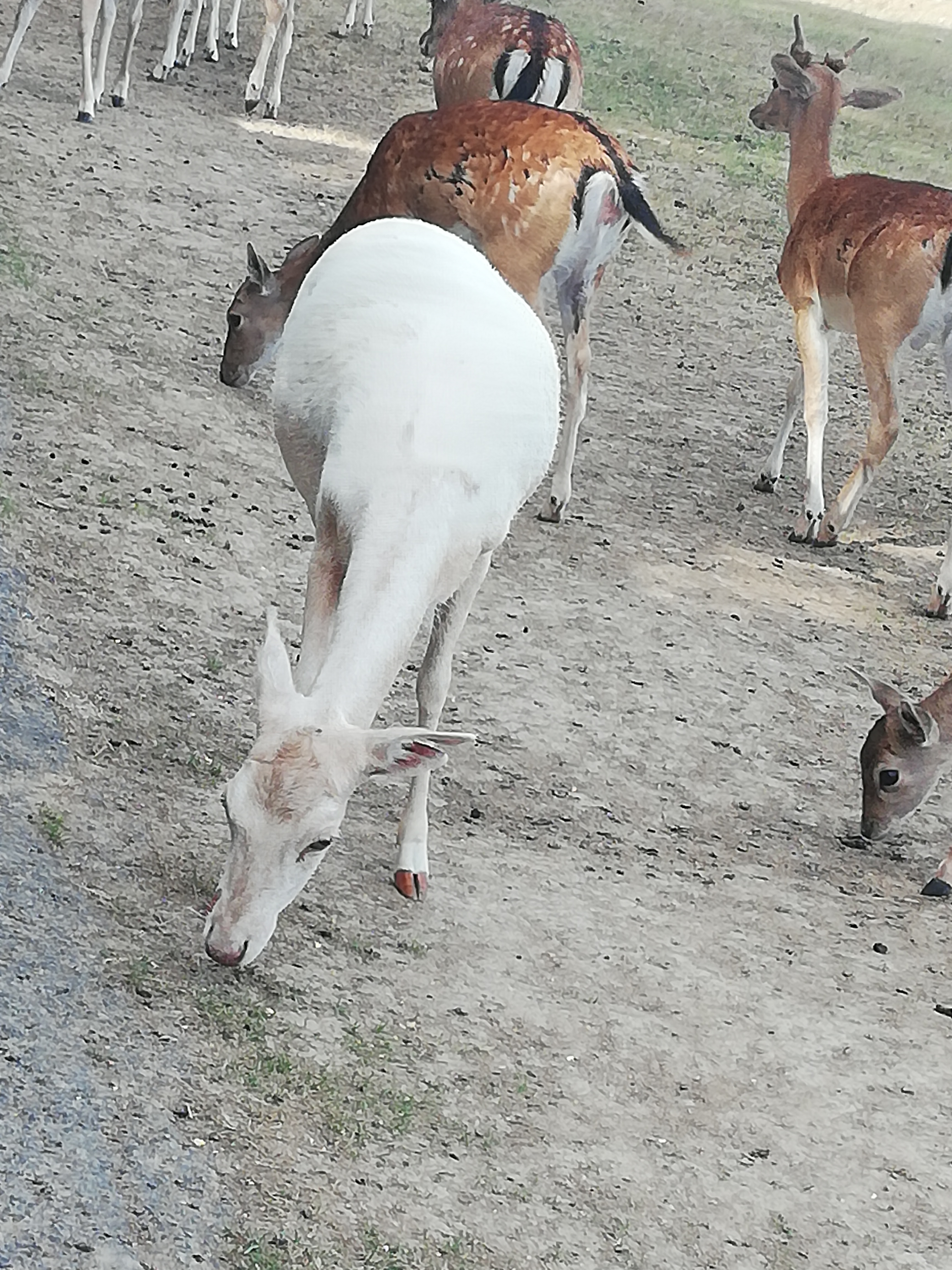 Photo n° 24 de l'avis de Severine.e fait le 23/08/2019 à 23:18