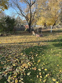 Las Flore's Lawn Care - Photo 8 - Car repair in Madison, WI, Madison