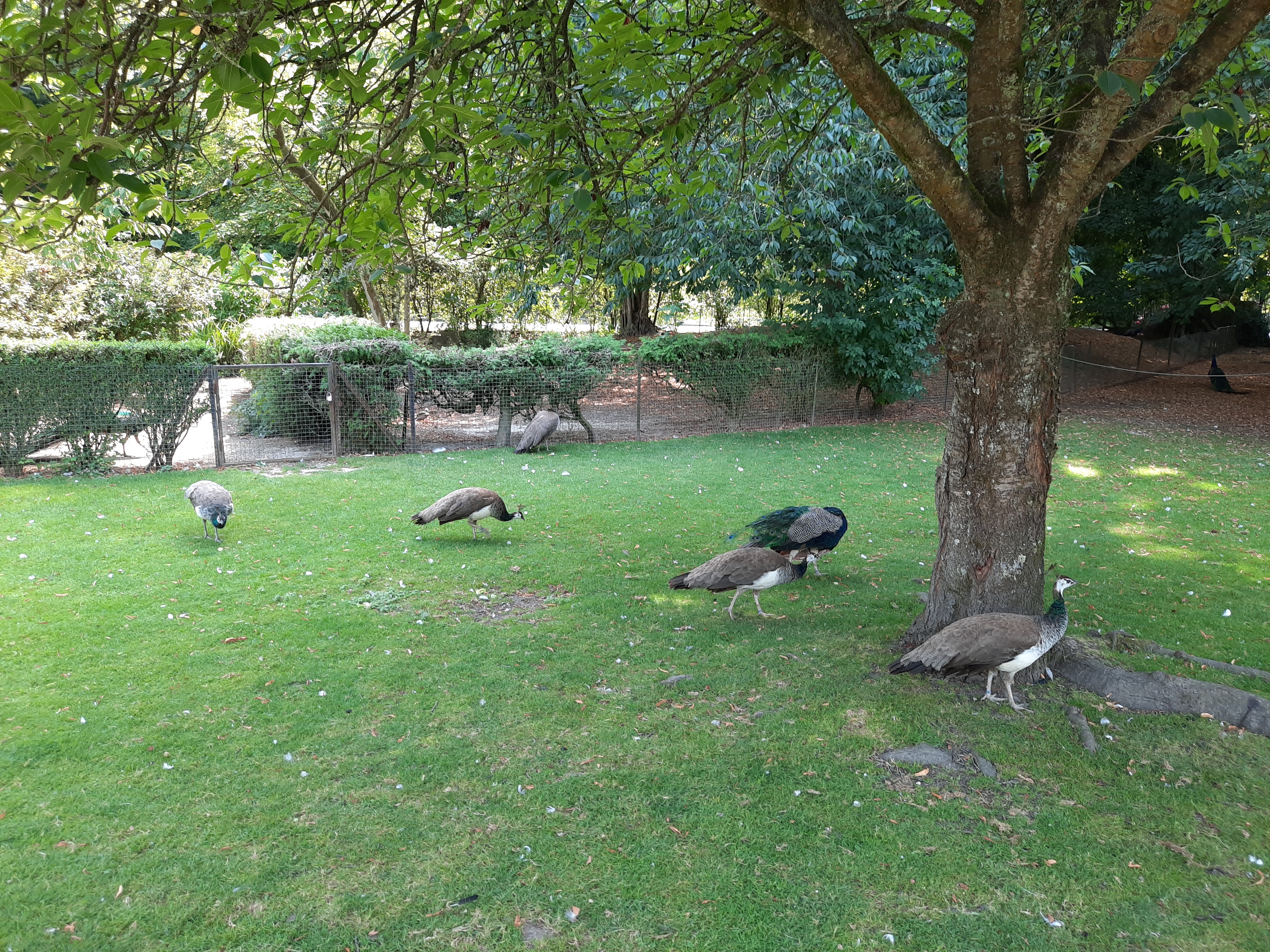 Photo n° 5 de l'avis de F. fait le 31/07/2020 à 21:19