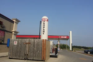 Co-op Gas Bar image