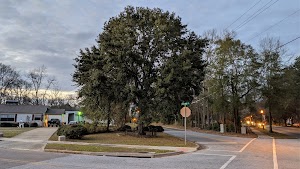 The Tree That Owns Itself - photo 24