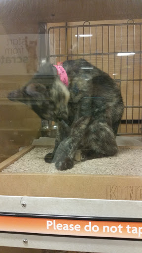 Pet Supply Store «PetSmart», reviews and photos, 2718 Legends Pkwy, Prattville, AL 36066, USA