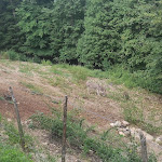 Photo n°5 de l'avis de Michele.u fait le 06/07/2023 à 08:52 sur le  Rifugio Sfilzi à Vico del Gargano