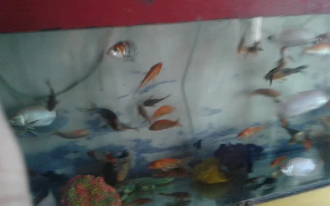 Fish Aquarium House image