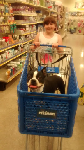 Pet Supply Store «PetSmart», reviews and photos, 10697 E US Hwy 36, Avon, IN 46123, USA