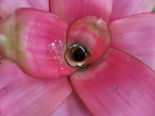 Zoo «Rainforest Pyramid», reviews and photos, 1 Hope Blvd, Galveston, TX 77554, USA