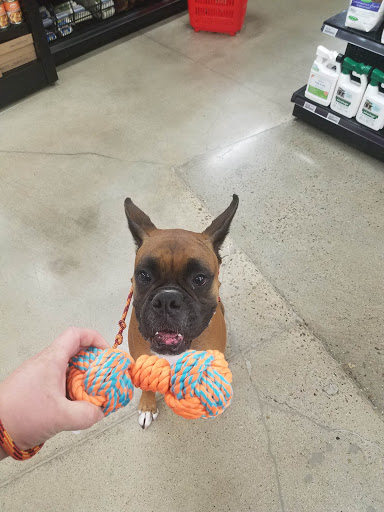 Pet Supply Store «Kahoots Pet Store», reviews and photos, 334 W El Norte Pkwy, Escondido, CA 92026, USA