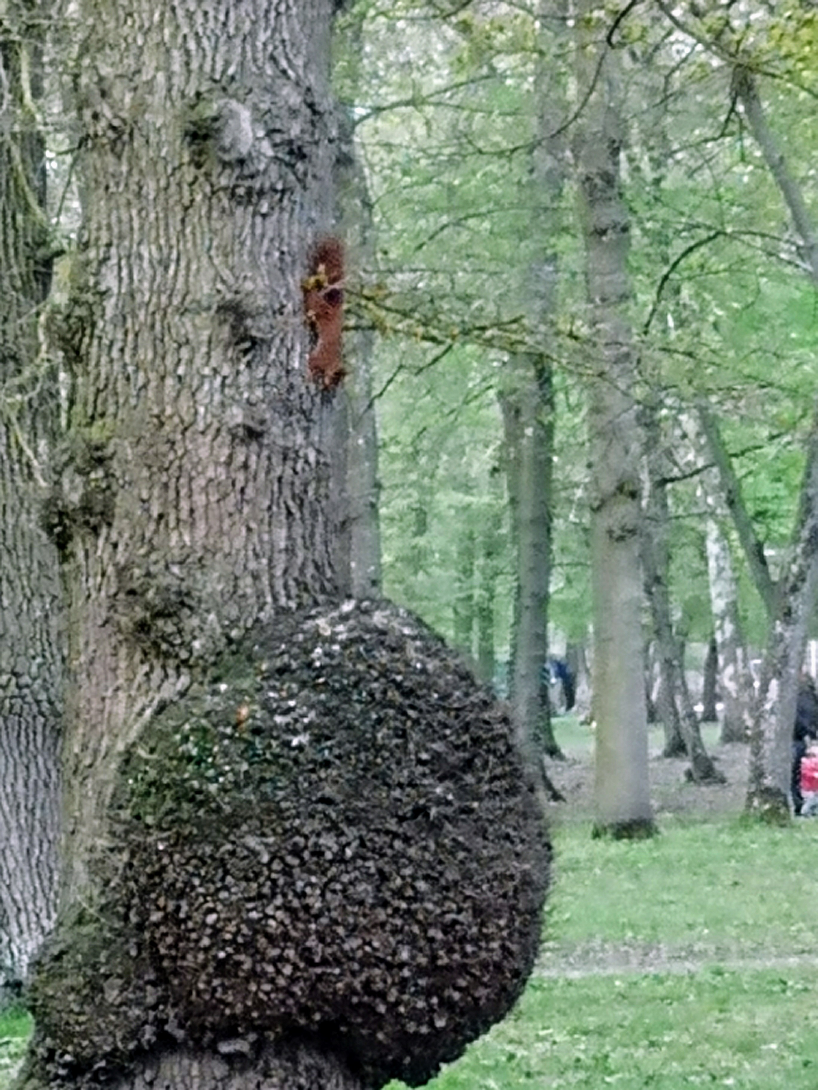 Photo n° 2 de l'avis de BERNADETTE.H fait le 16/08/2019 à 20:14