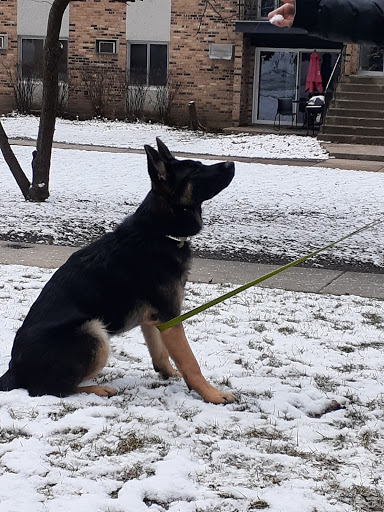 Pet Supply Store «Pet Supplies Plus», reviews and photos, 1206 W Dundee Rd, Buffalo Grove, IL 60089, USA