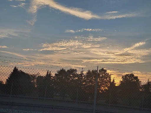 Auto Auction «Manheim Detroit», reviews and photos, 600 Will Carleton Rd, Carleton, MI 48117, USA