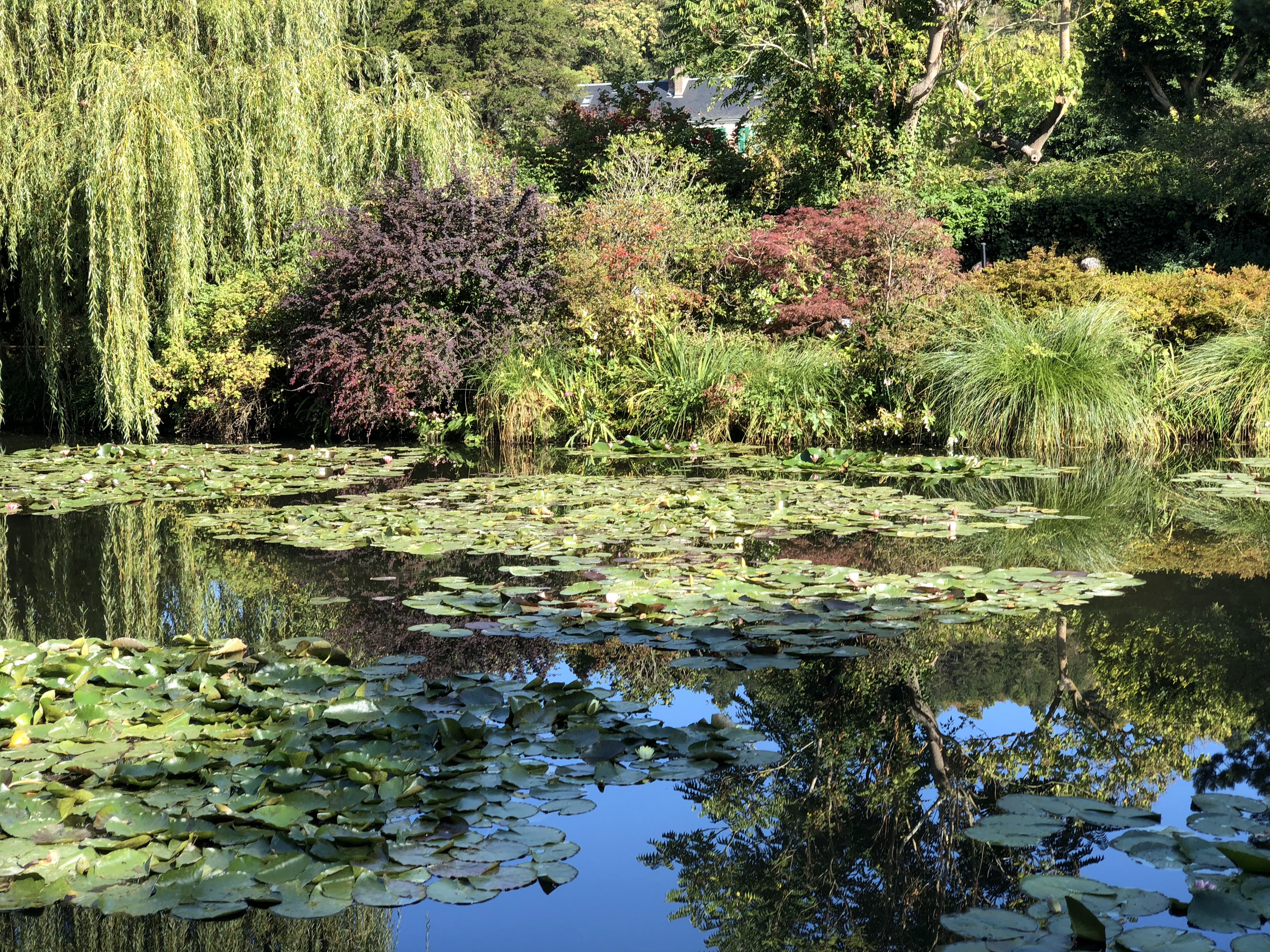 Photo n° 2 de l'avis de Igor.a fait le 25/10/2018 à 12:29