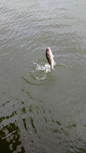 Convention Center «McAllen Convention Center», reviews and photos, 700 Convention Center Blvd, McAllen, TX 78501, USA