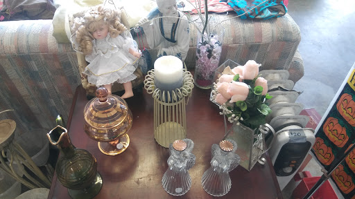 Home Goods Store «Paws & Claws Thrift Store», reviews and photos, 132 E Broad St, Groveland, FL 34736, USA