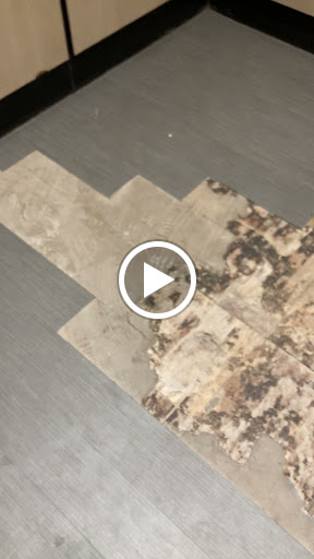 Clothing Store «Old Navy», reviews and photos, 3525 W Carson St #77, Torrance, CA 90503, USA