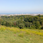 Photo n°4 de l'avis de Simone.a fait le 23/09/2018 à 14:42 sur le  Osteria La Chiacchiera à Rimini