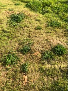 Photo n° 3 de l'avis de lesdemeures.e fait le 17/03/2021 à 07:01