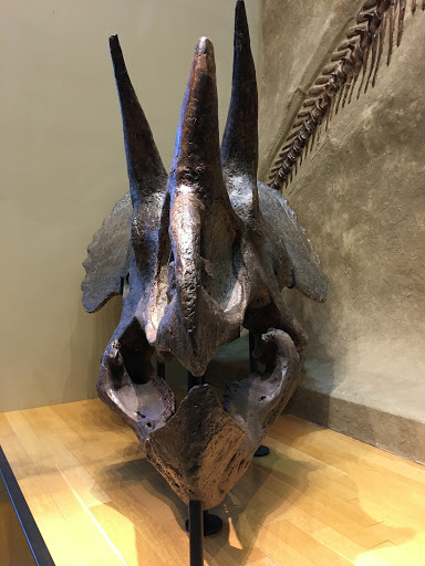 Museum «Beneski Museum of Natural History», reviews and photos, 11 Barrett Hill Rd, Amherst, MA 01002, USA