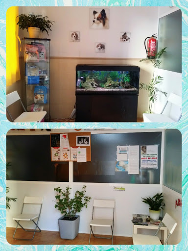 Veterinario Full Animals en Moguer