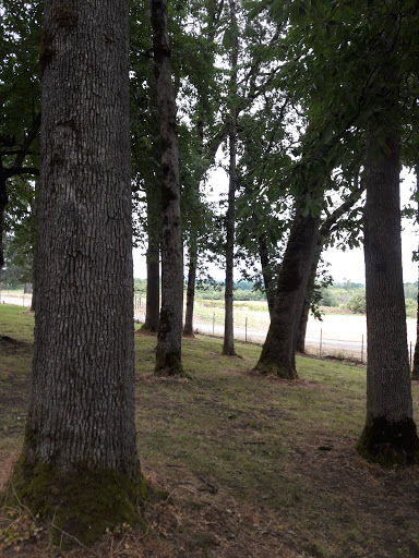 Rodeo «Molalla Buckeroo Association», reviews and photos, 815 Shirley St, Molalla, OR 97038, USA