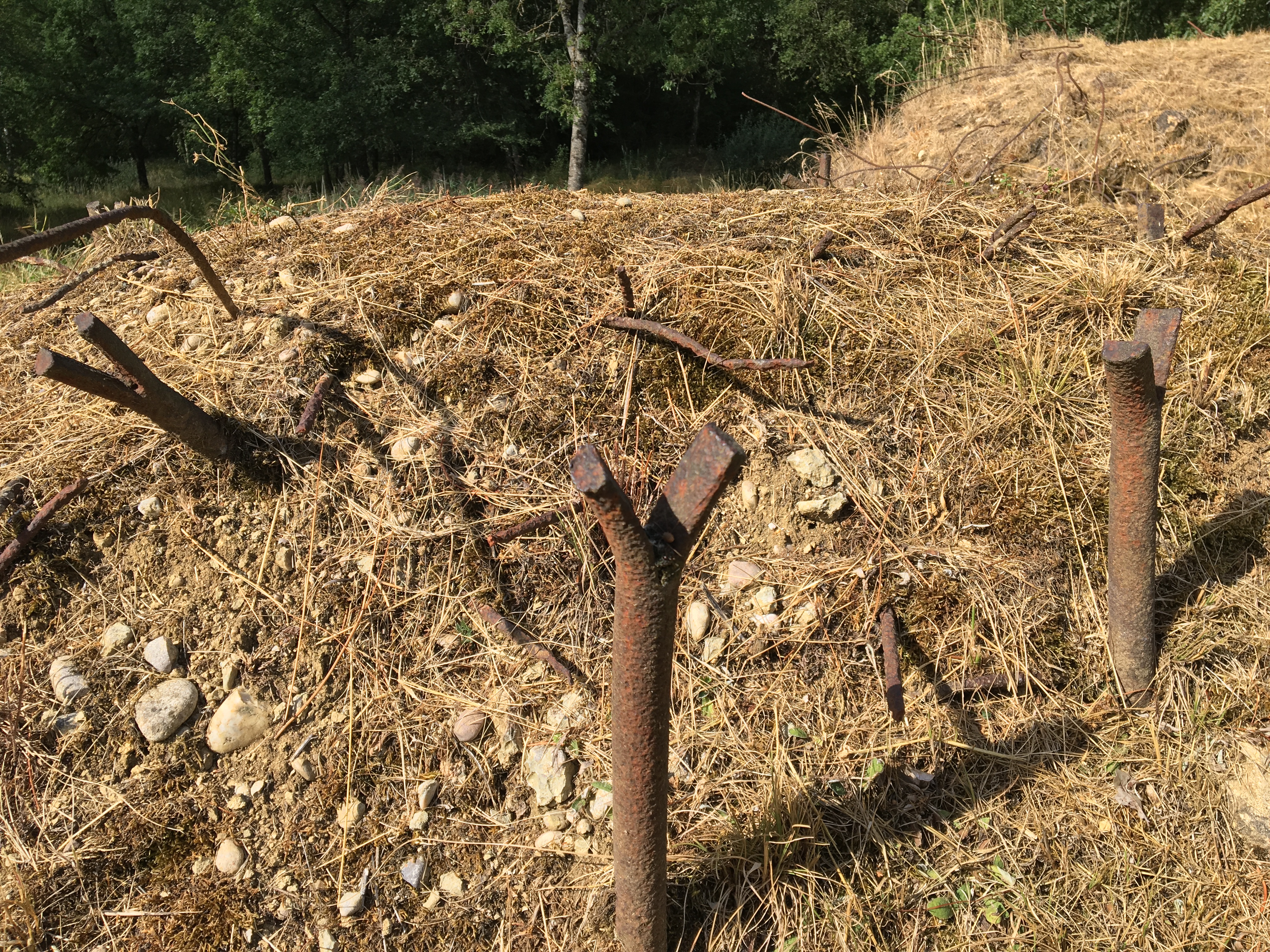 Photo n° 4 de l'avis de David.O fait le 31/08/2020 à 15:34