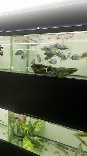 Pet Store «Aquarium Paradise», reviews and photos, 234 Washington Ave, Belleville, NJ 07109, USA