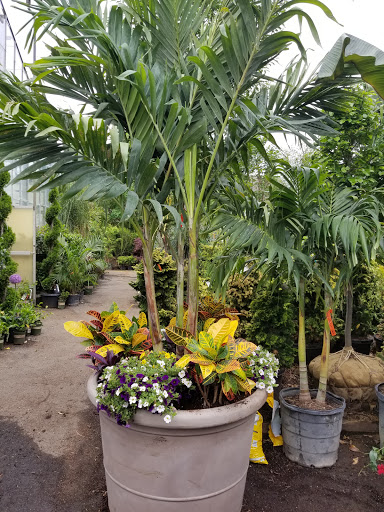 Garden Center «Westminster Nursery & Florist», reviews and photos, 30 Westminster Rd, West Hempstead, NY 11552, USA