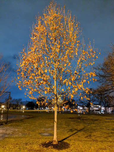 Park «Dunham Park», reviews and photos, 4638 N Melvina Ave, Chicago, IL 60630, USA