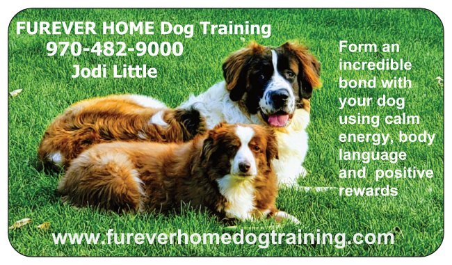 FurEver Home Dog Training