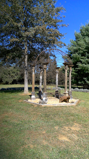 Farm «Blooming Hill Lavender Farm», reviews and photos, 19929 Telegraph Springs Rd, Purcellville, VA 20132, USA