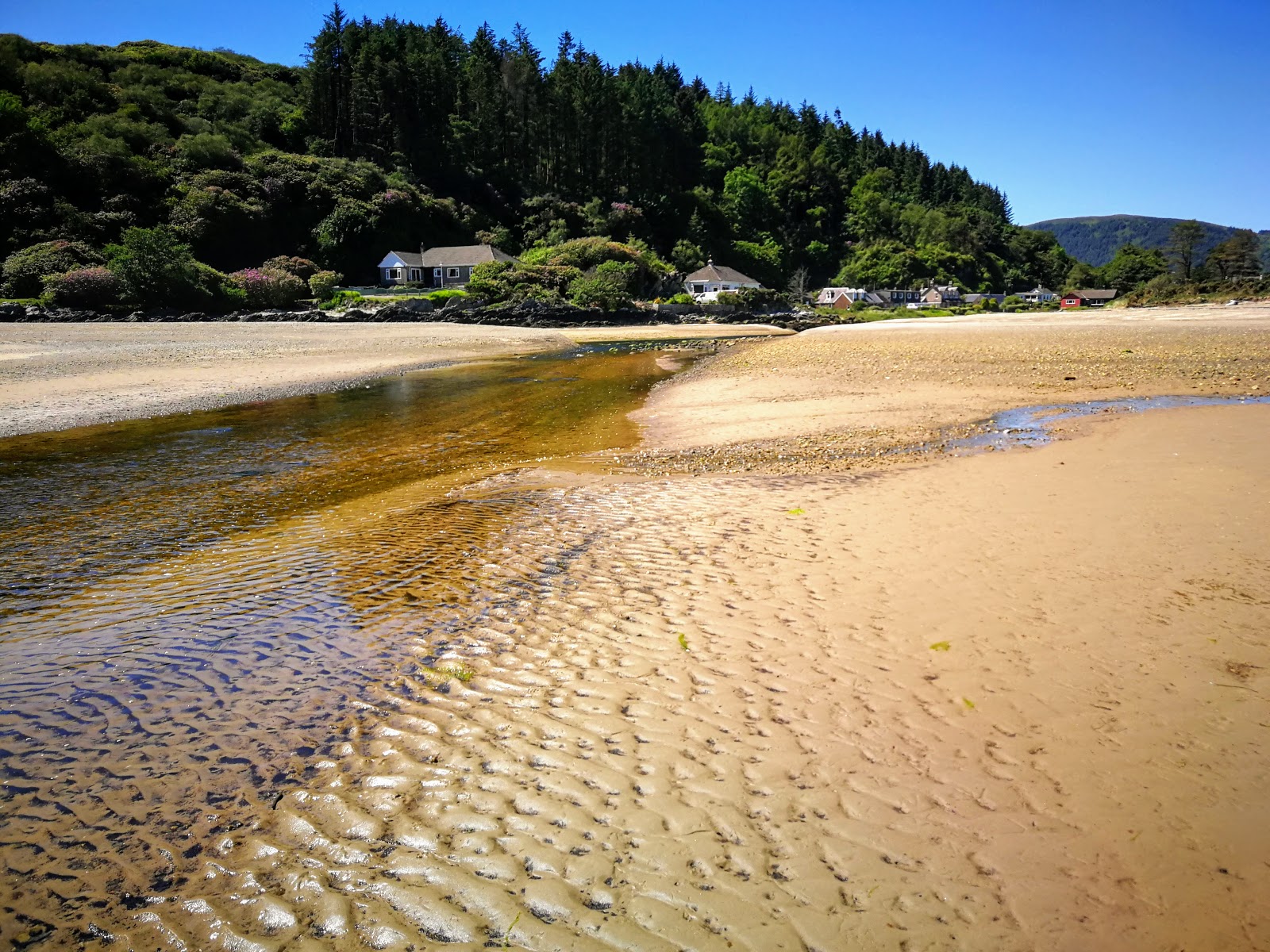 Foto van Carradale Bay Beach - goede huisdiervriendelijke plek voor vakantie