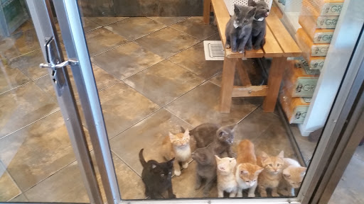 Pet Adoption Service «Found Animals Adopt & Shop», reviews and photos, 353 Lakewood Center Mall, Lakewood, CA 90712, USA