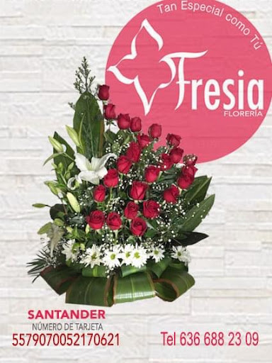 Floreria FRESIA – San Buenaventura