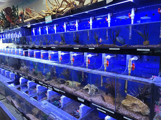 Pet Store «Aquaridise», reviews and photos, 415 NJ-18, East Brunswick, NJ 08816, USA