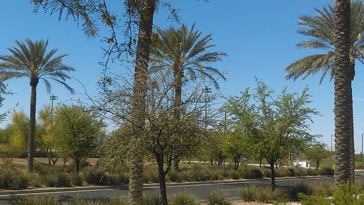 Home Builder «Sun City Anthem at Merrill Ranch by Del Webb», reviews and photos