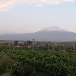 Photo n°2 de l'avis de maria.a fait le 11/12/2022 à 21:44 sur le  Tenuta Giarretta Catania à Belpasso