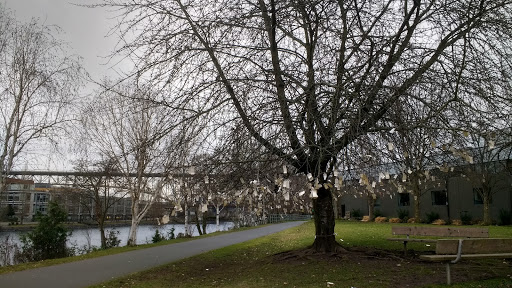 Park «Lake Union Park», reviews and photos, 860 Terry Ave N, Seattle, WA 98109, USA