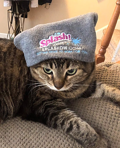 Advertising Agency «Splash Designworks», reviews and photos, 68 Shore Ln, Milford, DE 19963, USA