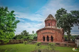 Ananta Basudeba Mandir image