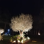 Photo n°2 de l'avis de rita.e fait le 06/02/2022 à 01:15 sur le  L'antico Casolare à Pesaro