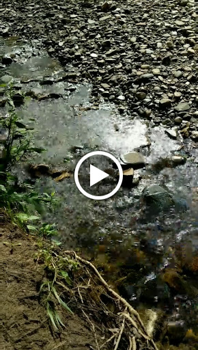 Park «Blacklick Woods Metro Park», reviews and photos, 6975 East Livingston Avenue, Reynoldsburg, OH 43068, USA