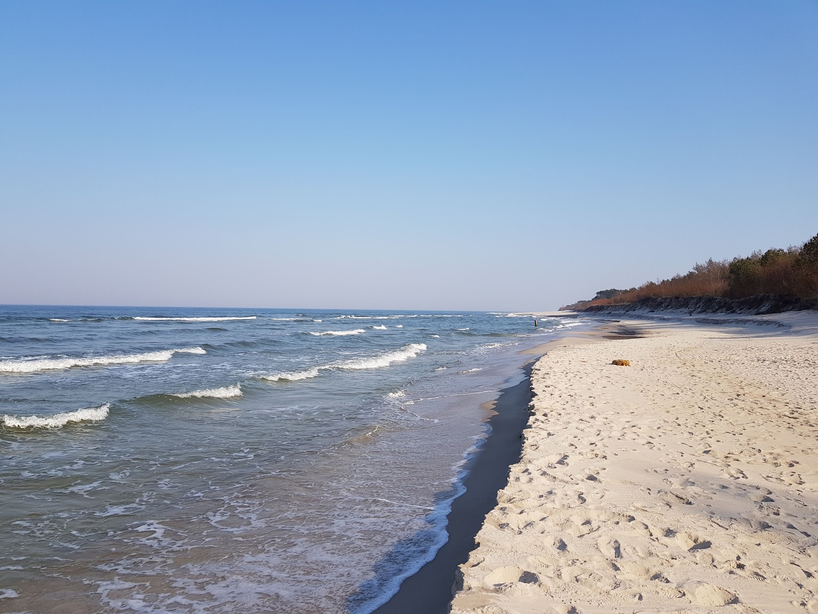 Foto van Kuznica Dog Beach - populaire plek onder ontspanningskenners