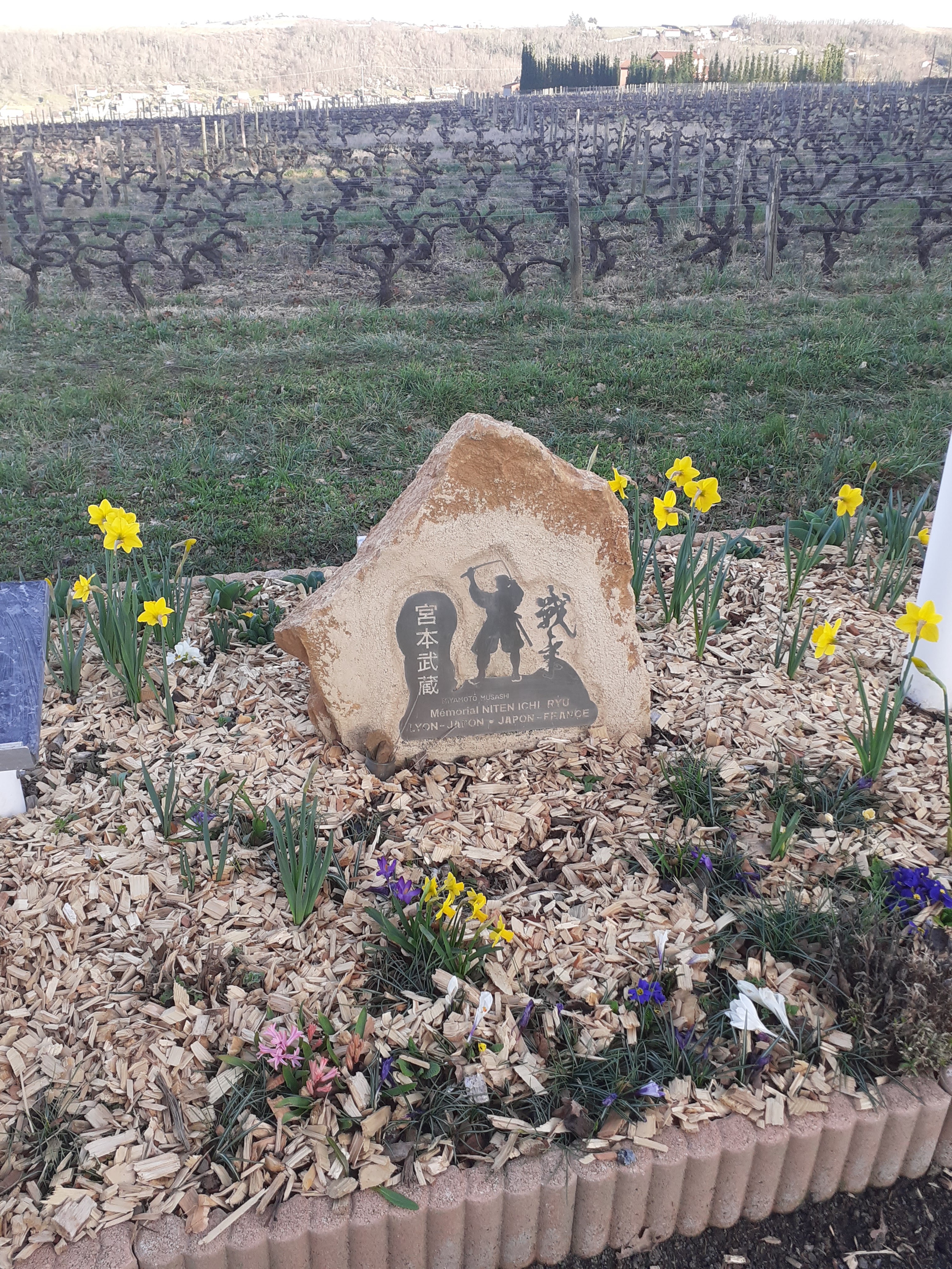 Photo n° 8 de l'avis de Hugo.o fait le 16/03/2023 à 16:58