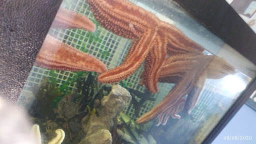 Aquarium «Explore the Ocean World, llc Oceanarium», reviews and photos, 367 Ocean Blvd, Hampton, NH 03842, USA