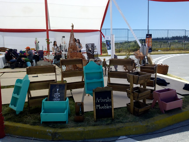 Opiniones de Arbusto Muebles en San Pedro de La Paz - Tienda de muebles