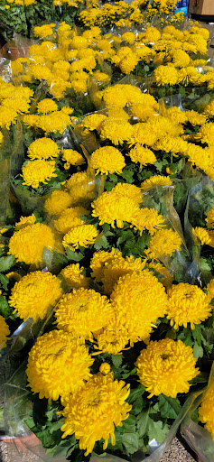 Asian Grocery Store «New Truong Nguyen Market», reviews and photos, 3555 East Walnut Street #221, Garland, TX 75042, USA