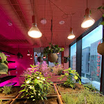 Photo n°2 de l'avis de Laura.c fait le 17/01/2023 à 08:00 sur le  LINDLEY LINDENBERG à Frankfurt