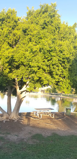 Park «Cesar Chavez Park», reviews and photos, 7858 S 35th Ave, Laveen Village, AZ 85339, USA