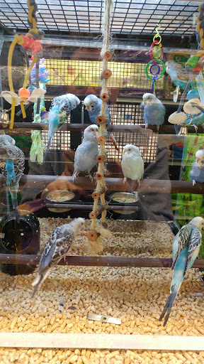 Pet Store «PetSmart», reviews and photos, 2891 Ygnacio Valley Rd, Walnut Creek, CA 94598, USA